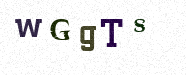 Visual Confirmation Security Code