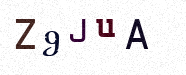Visual Confirmation Security Code