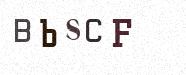 Visual Confirmation Security Code